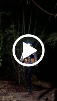 BIB:  <button type="button" onclick="openModal(28094195)" class="btn btn-primary btn-sm float-right" data-toggle="modal" data-target=".modal-high-quality">
                <i class="fa fa-download"></i> Download
                </button>